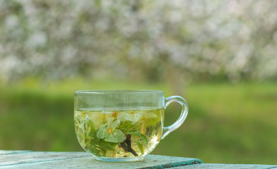 Herbal tea with blossom, natural lifestyle, health care