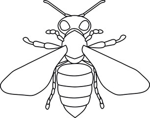 Vector linear isolated black and white bee