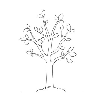 Continuous line drawing of small tree growth. Vector illustration
