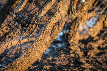 bike in the mud