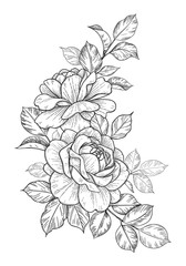 Hand Drawn Floral Bunch with Roses and Leaves - 345057396