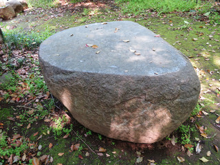 東村山　公園　庭苑03