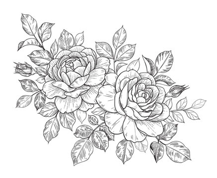 Hand Drawn Floral Bunch with Roses, Buds and Leaves