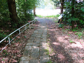 東村山　公園　森林浴02