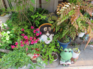 たぬきの置物を囲む草花