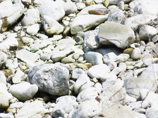 川の底の石03
