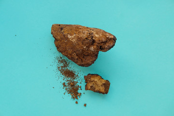 Naklejka premium Chaga Healing Mushroom Pieces on a blue background.