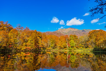 鏡池と三ノ峰と紅葉 
(日本 - 福井 - 鏡池)