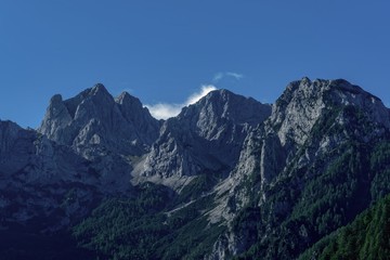 Fototapeta na wymiar Detail Of Steiner Alpen - Kamniske Alpe