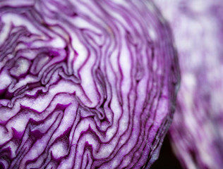 Obraz premium Cut red cabbage head.