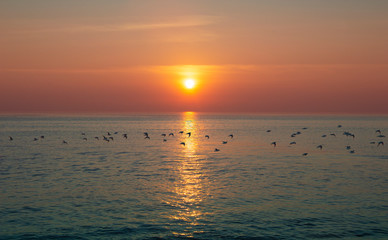 Obraz premium Coucher de soleil