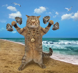 The beige cat athlete with a sports gold medal is doing exercises with dumbbells on the beach of the sea.