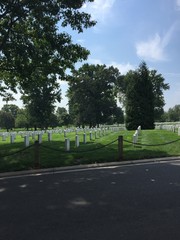 Arlington cemetery on a sunny day
