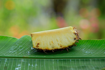 Sliced pineapple in the banana leaf isolated on blended green background