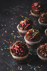 Chocolate cacao cupcakes with sprinkles, mothers or fathers day concept