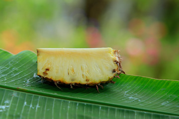Sliced pineapple in the banana leaf isolated on blended green background