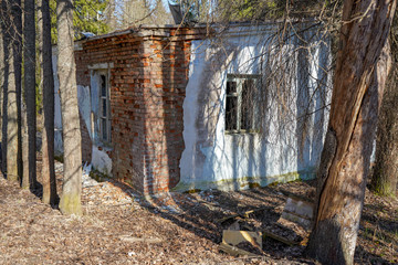 
old ruined buildings in the forest