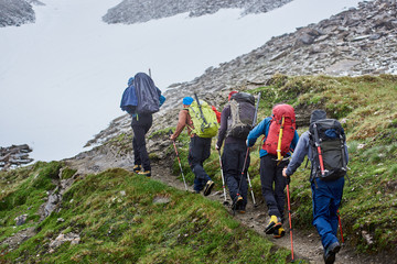 Fototapeta premium Back view of hikers with backpacks following trails while hiking long distance in mountains. Male friends with trekking sticks walking on grassy hillside path. Concept of travelling, tourism, hiking.