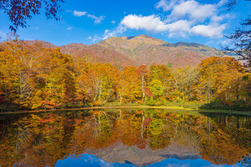 鏡池と三ノ峰と紅葉 
(日本 - 福井 - 鏡池)