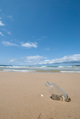 Obraz na płótnie Canvas きれいな砂浜に流れ着いた空きビン