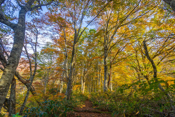 鏡池と三ノ峰と紅葉 
(日本 - 福井 - 鏡池)