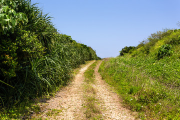 日本最南端、沖縄県波照間島の一本道