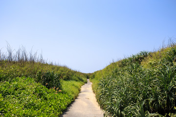 Fototapeta na wymiar 日本最南端、沖縄県波照間島の一本道