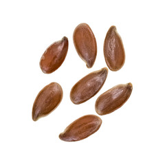 Close up of seven linseeds og flax seeds in a small group spread out and isolated on white background