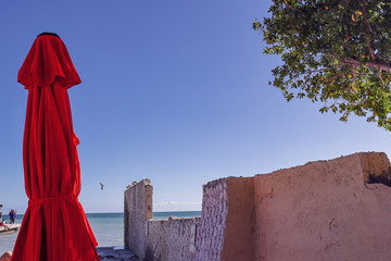 red umbrella by the beach