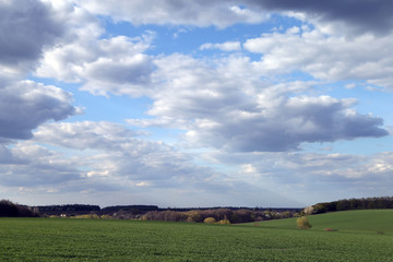 Fototapeta na wymiar Landscape of green field, trees and sky