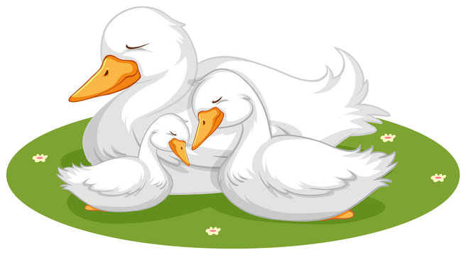 white geese family on green grass clip art preview
