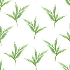 Seamless pattern with Green Tea leaves style for trendy fabric print fashion Watercolor