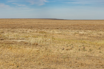 empty steppe in Kazakhstan. Dry grass in the autumn steppe. Landscape.