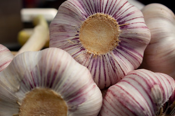 large garlic in trays on farmer's market stall close up. Vegetables are source of vitamins and health. Garlic antiviral helps avoid infection. concept of strengthening immunity by nature