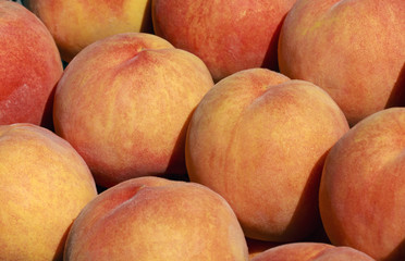 Arranged, calibrated fresh ripe peaches, nectarines.