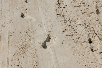 Minimalistic beach scene of foot prints in sand