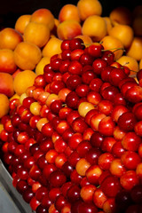 Juicy colored fruits on the counter of the farm market. yellow-red cherry and apricots selective focus. Fruit is a source of vitamins and health. concept of strengthening immunity by nature