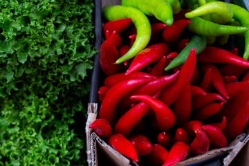 variety of colorful vegetables on counter of farmer's market lettuce leaf, green and red hot chilli pepper in cartons close up. Vegetables are source of vitamins. concept of strengthening immunity