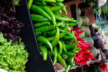 variety of colorful vegetables on counter of farmer's market. lettuce leaf, basil, green and red hot chilli pepper in cartons selective focus. Vegetables are source of vitamins and health by nature