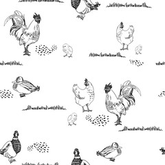 poultry yard with chiken and duks pattern