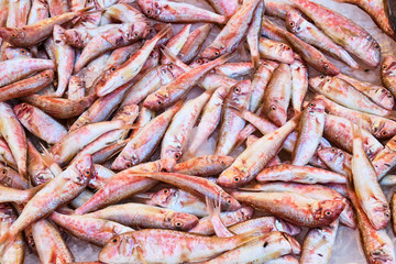 Pile of red mullets for sale at a market