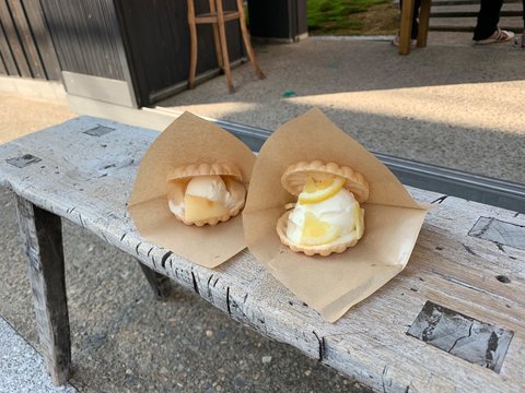 レモンモナカ