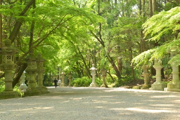 千葉県香取神宮の境内