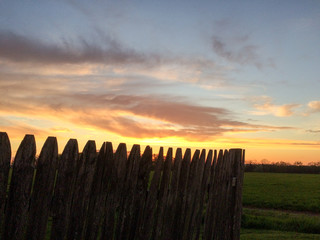 Obraz premium sunset green grass rustic wooden fence with yellow blue gold colors and tree