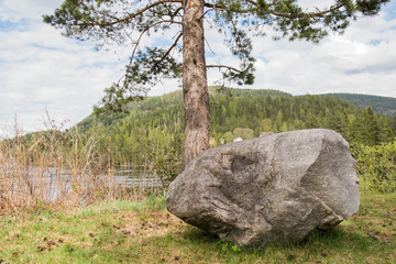 A big stone under a conifer tree. A glade by the lake. Spring in Norway.
