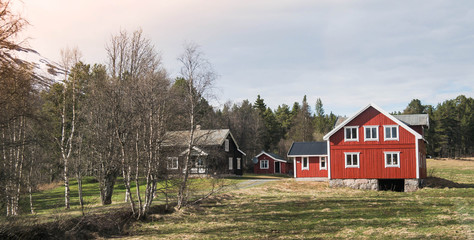 Norwegian wooden houses. A village in Norway. Red walls of houses. Farm in the forest.