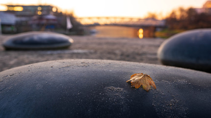Blatt vor Brücke beim Sonnenuntergang