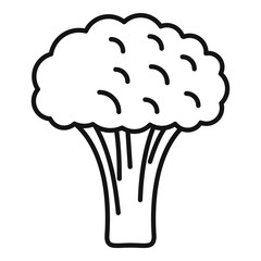 Fresh broccoli icon. Outline fresh broccoli vector icon for web design isolated on white background