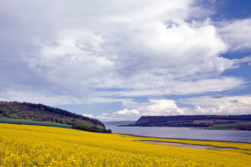 Beautiful Black Isle farm landscape