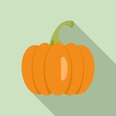 Celebration pumpkin icon. Flat illustration of celebration pumpkin vector icon for web design
